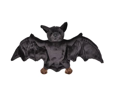 Where to buy a witch bat